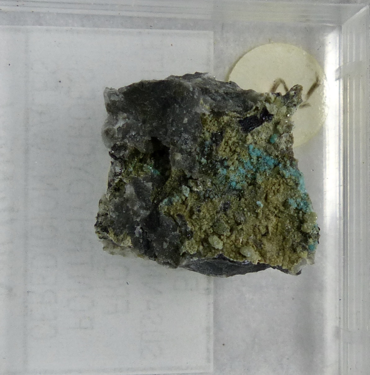 Bechererite & Susannite & Caledonite