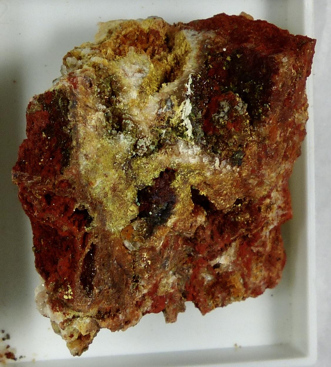 Carminite & Segnitite & Scorodite