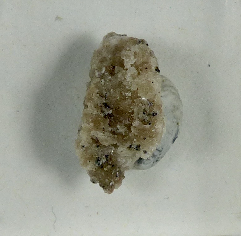 Zirconolite On Zircon