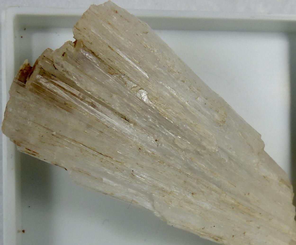 Scolecite