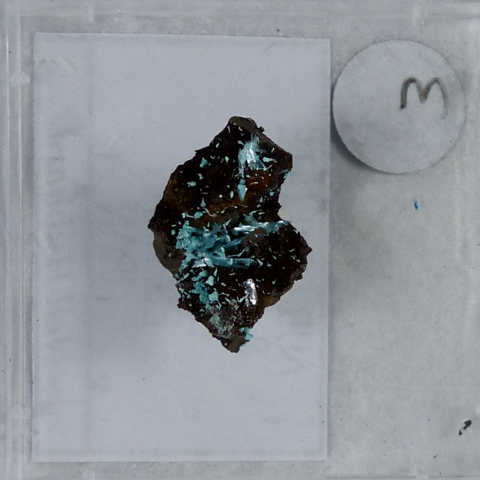 Aurichalcite & Rosasite