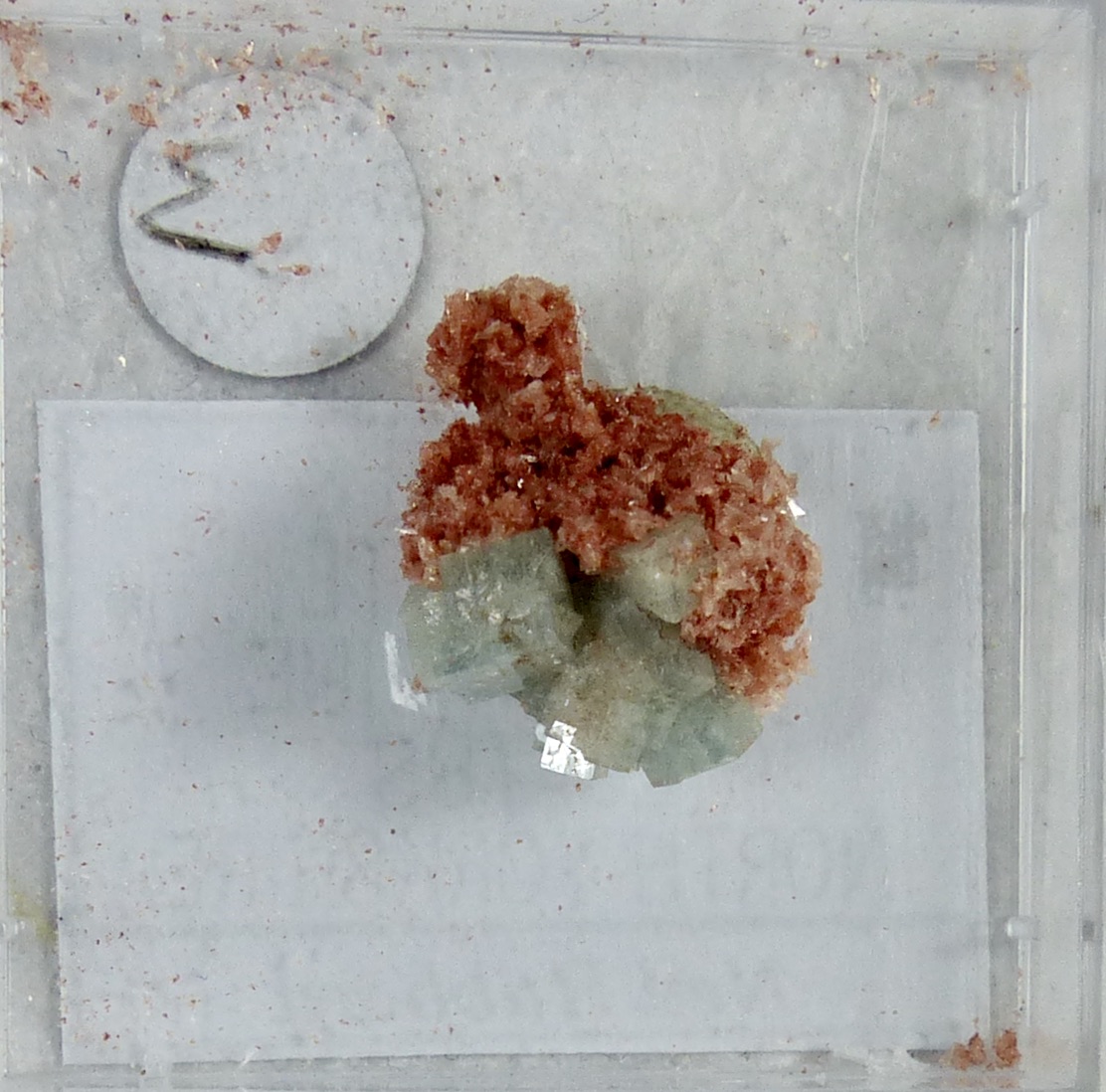 Boracite & Hilgardite