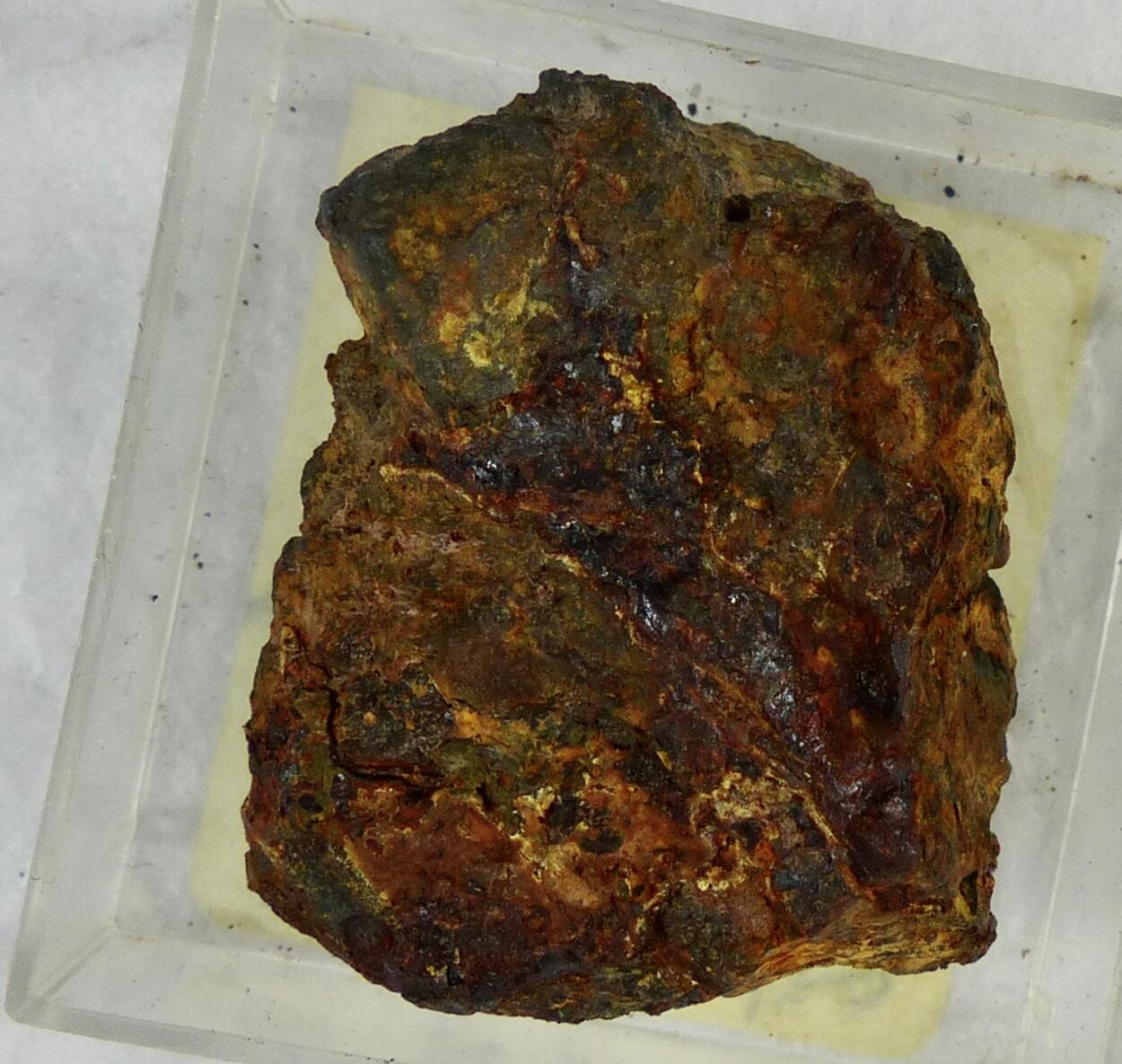 Delvauxite & Cacoxenite