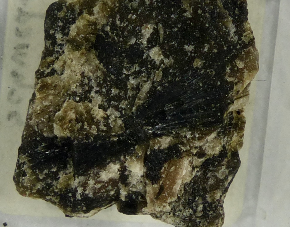 Gedrite