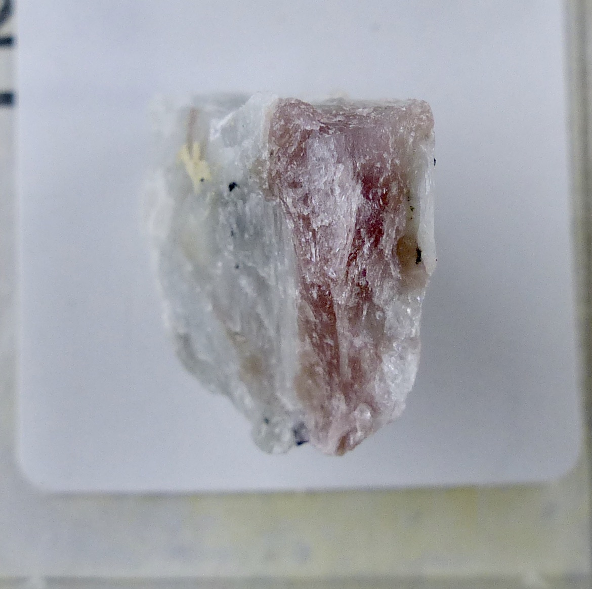 Miserite On Agrellite