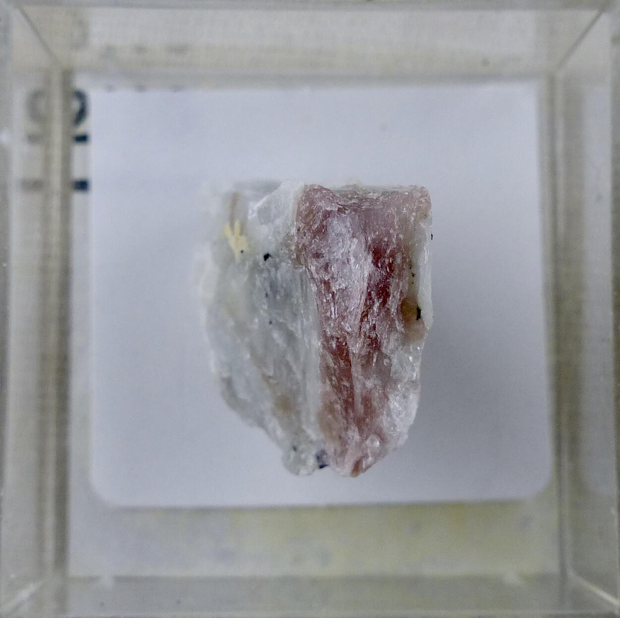 Miserite On Agrellite