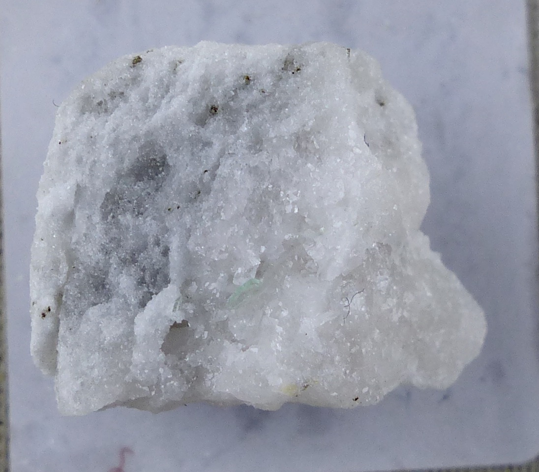 Muscovite
