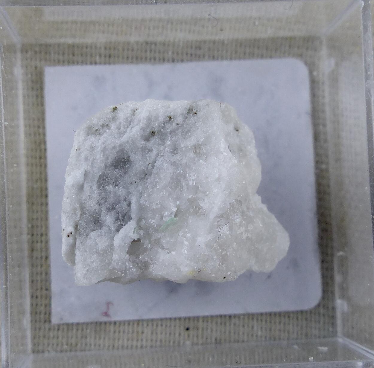 Muscovite