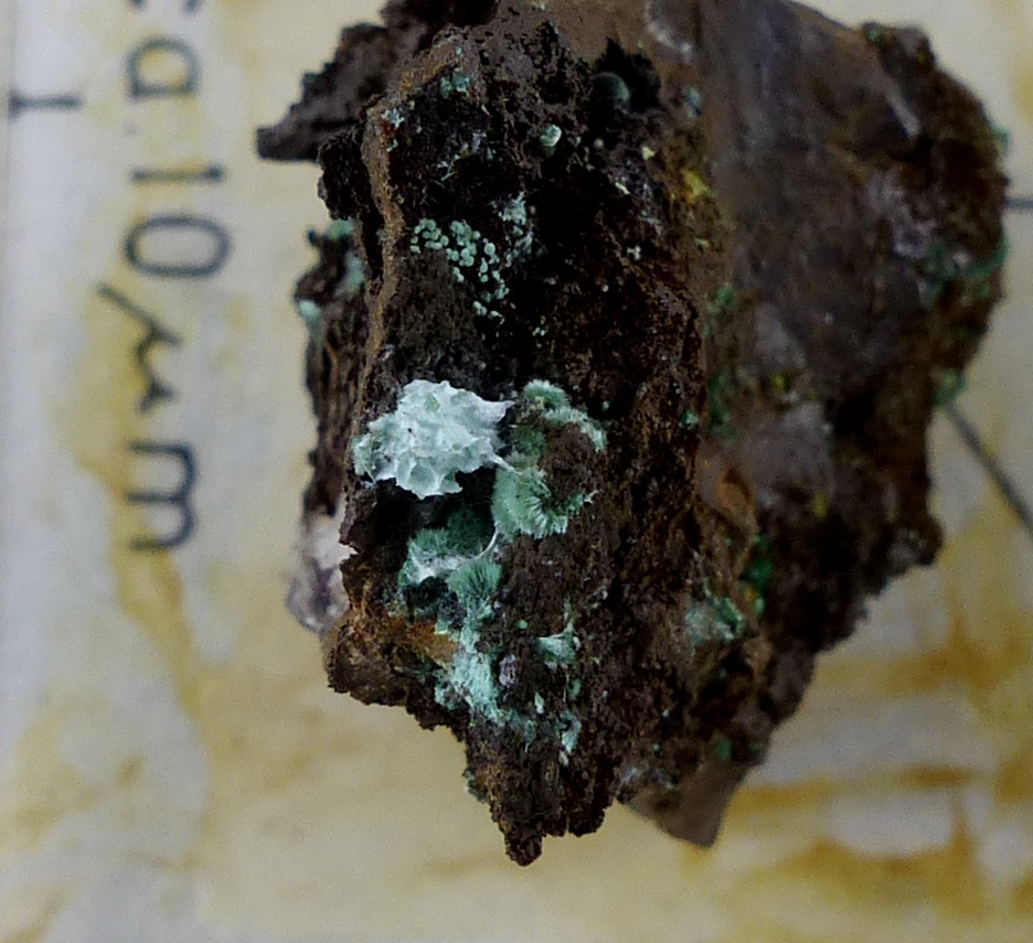 Agardite-(Y) & Malachite