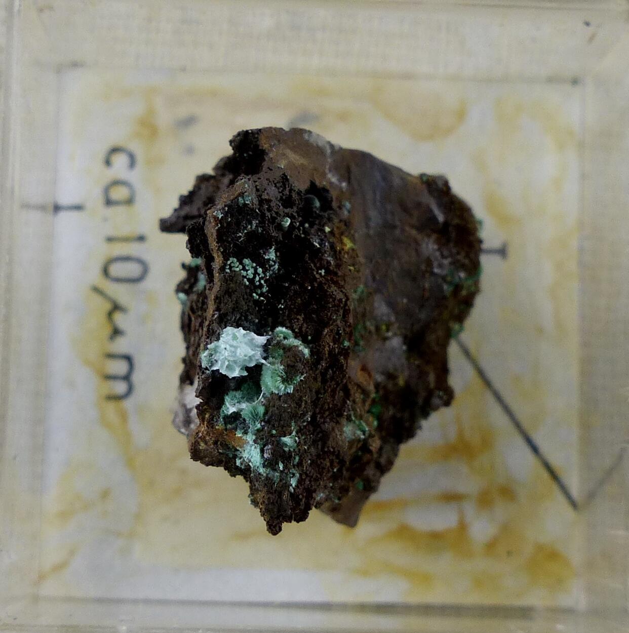 Agardite-(Y) & Malachite