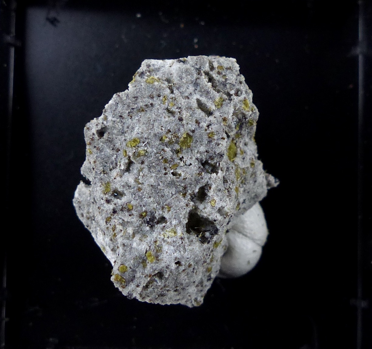 Armalcolite-Pseudobrookite Series & Fluorophlogopite