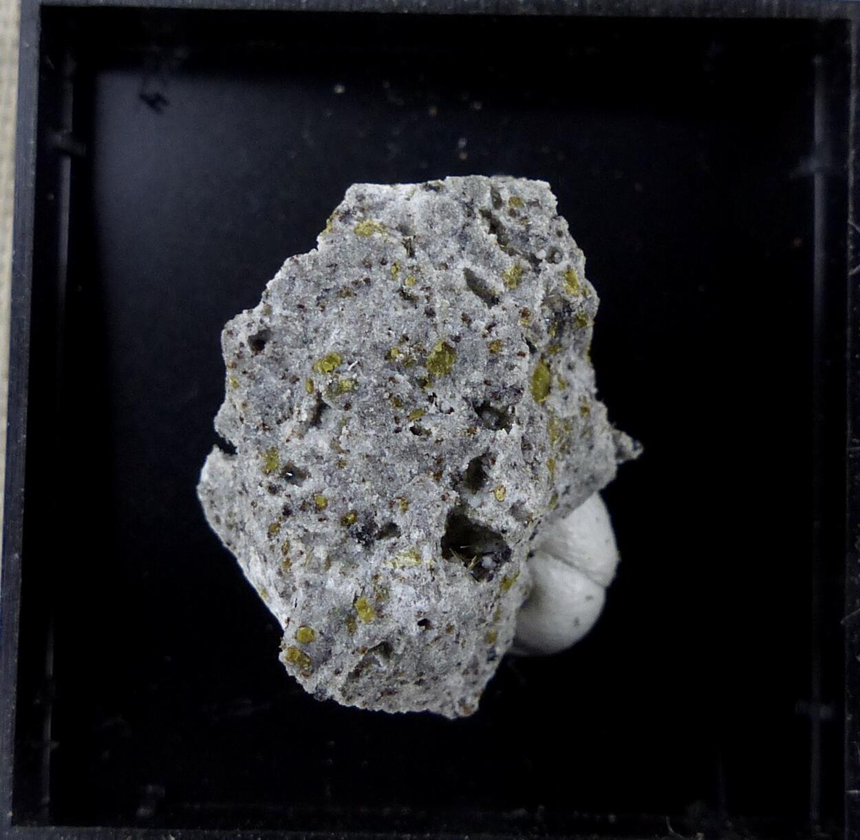 Armalcolite-Pseudobrookite Series & Fluorophlogopite