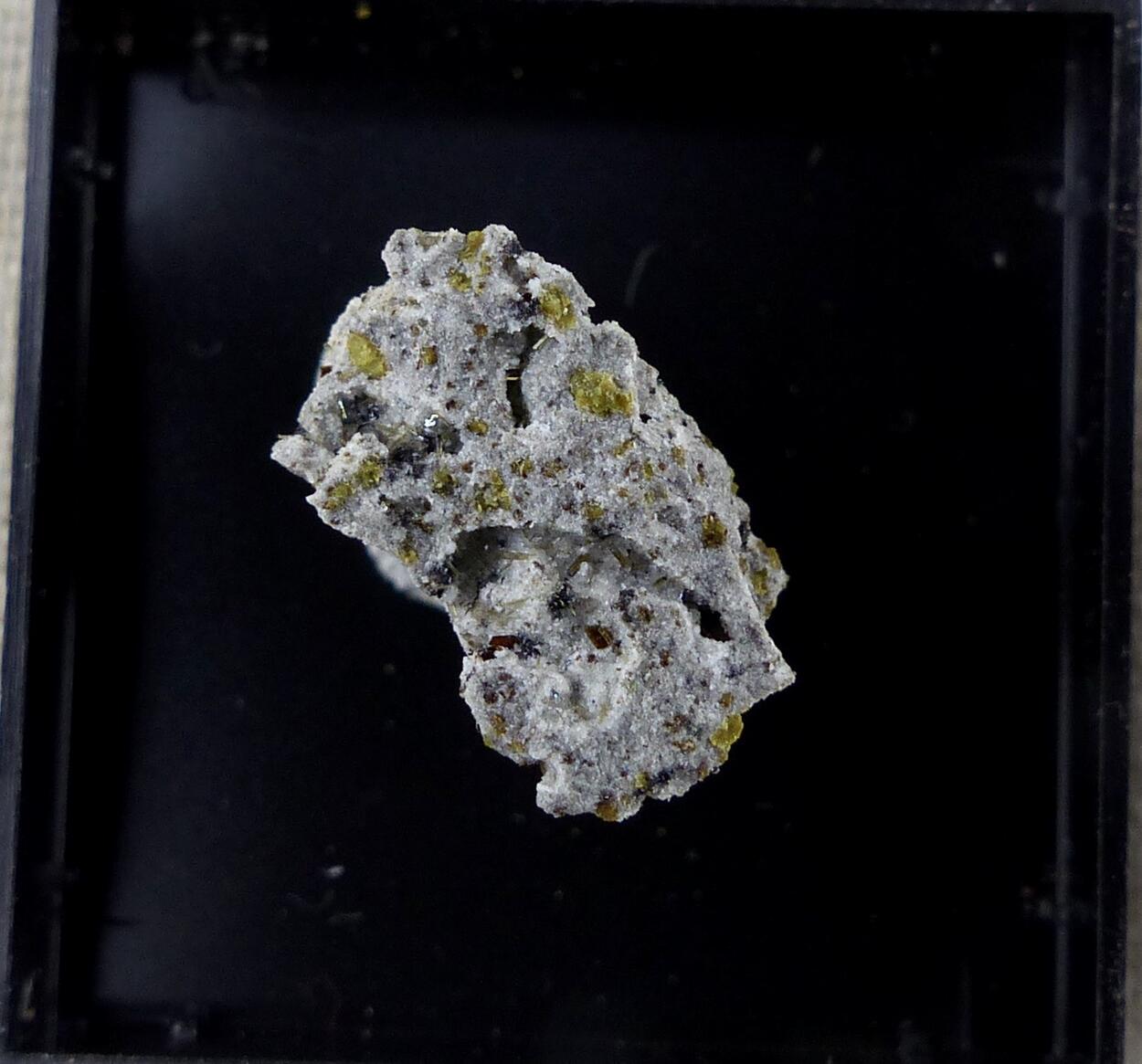 Azoproite & Enstatite & Fluorophlogopite