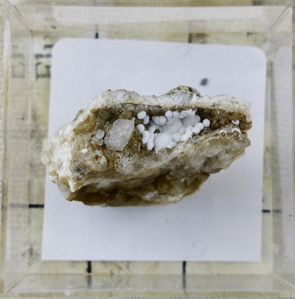 Mordenite & Calcite On Prehnite