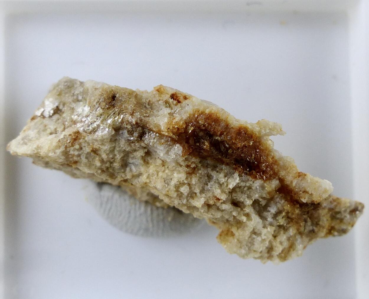 Brazilianite & Quartz