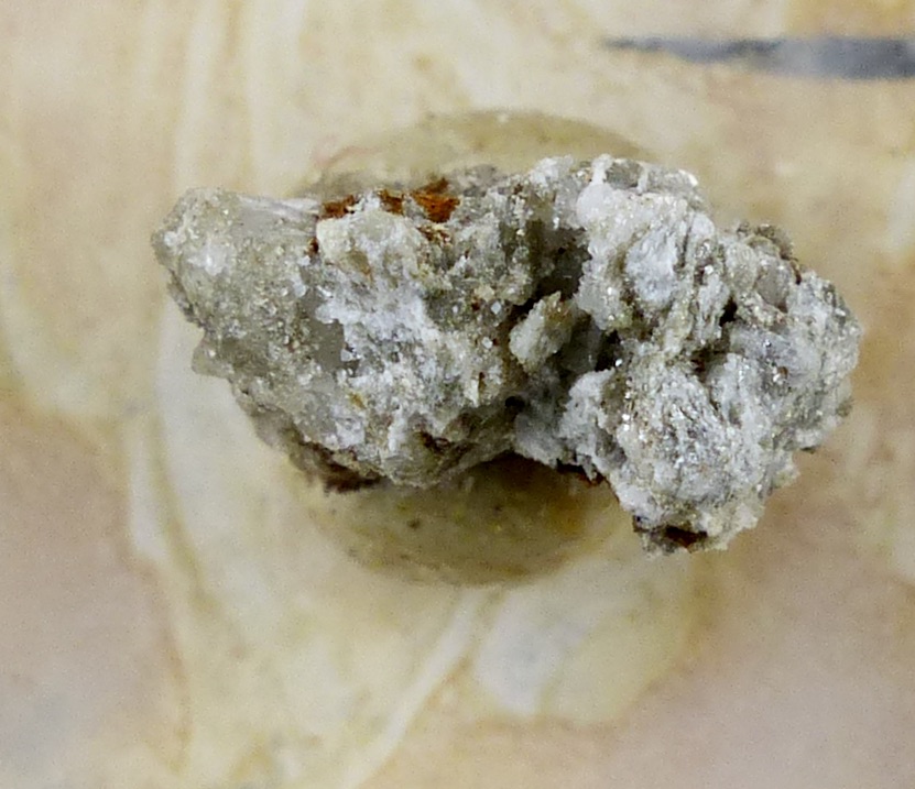 Monazite-(Ce) & Rutile