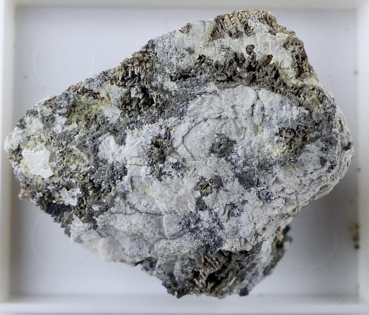 Native Silver On Native Arsenic