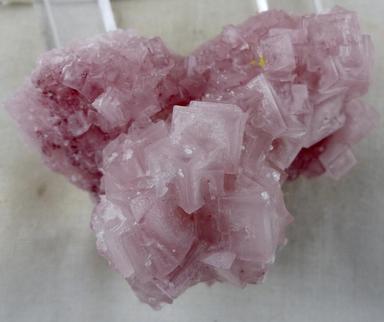 Halite
