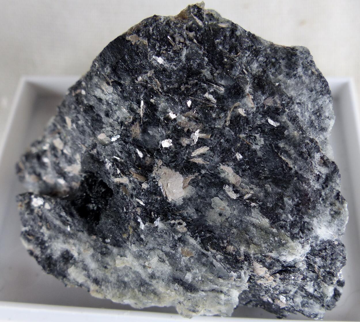 Murmanite