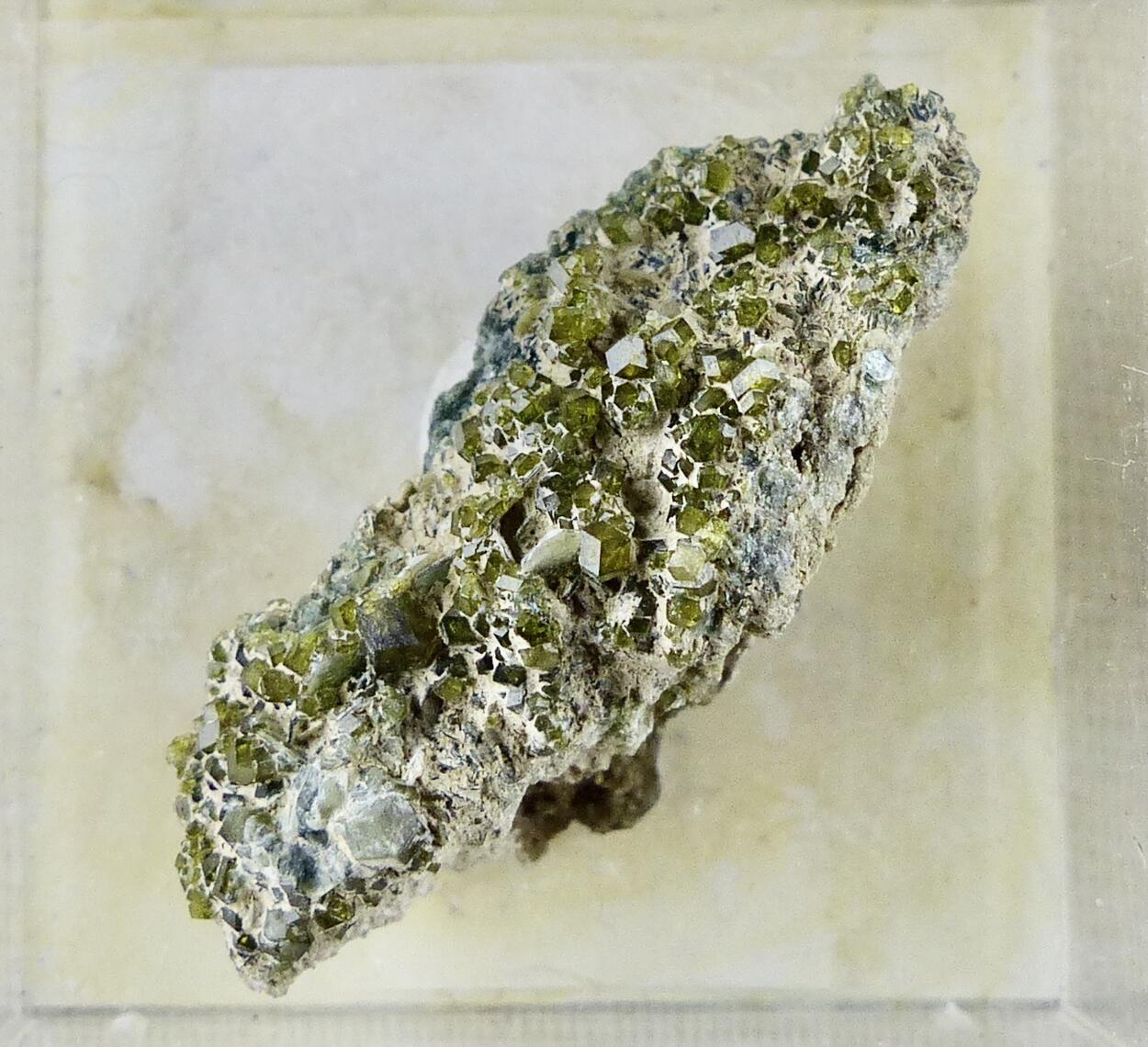 Andradite & Clinochlore