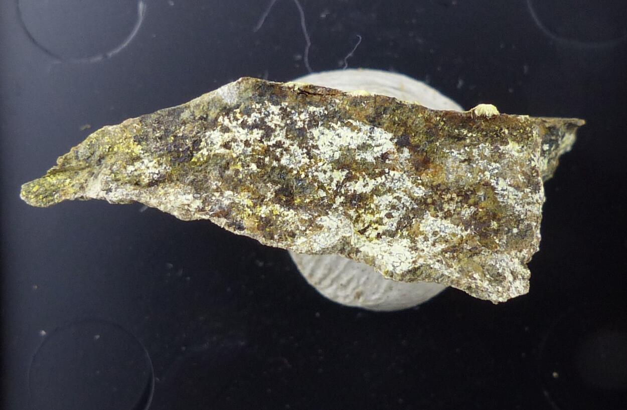 Françoisite-(Nd) & Uranophane