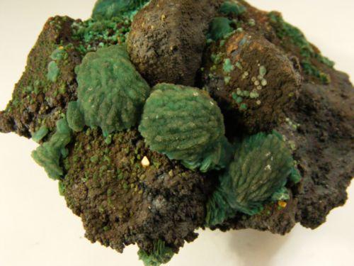 Malachite Psm Azurite With Wulfenite