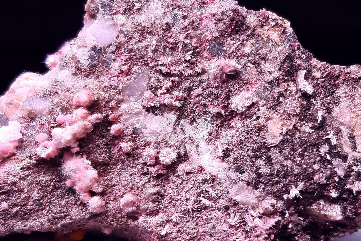 Phaunouxite & Picropharmacolite & Guérinite & Weilite & Sainfeldite