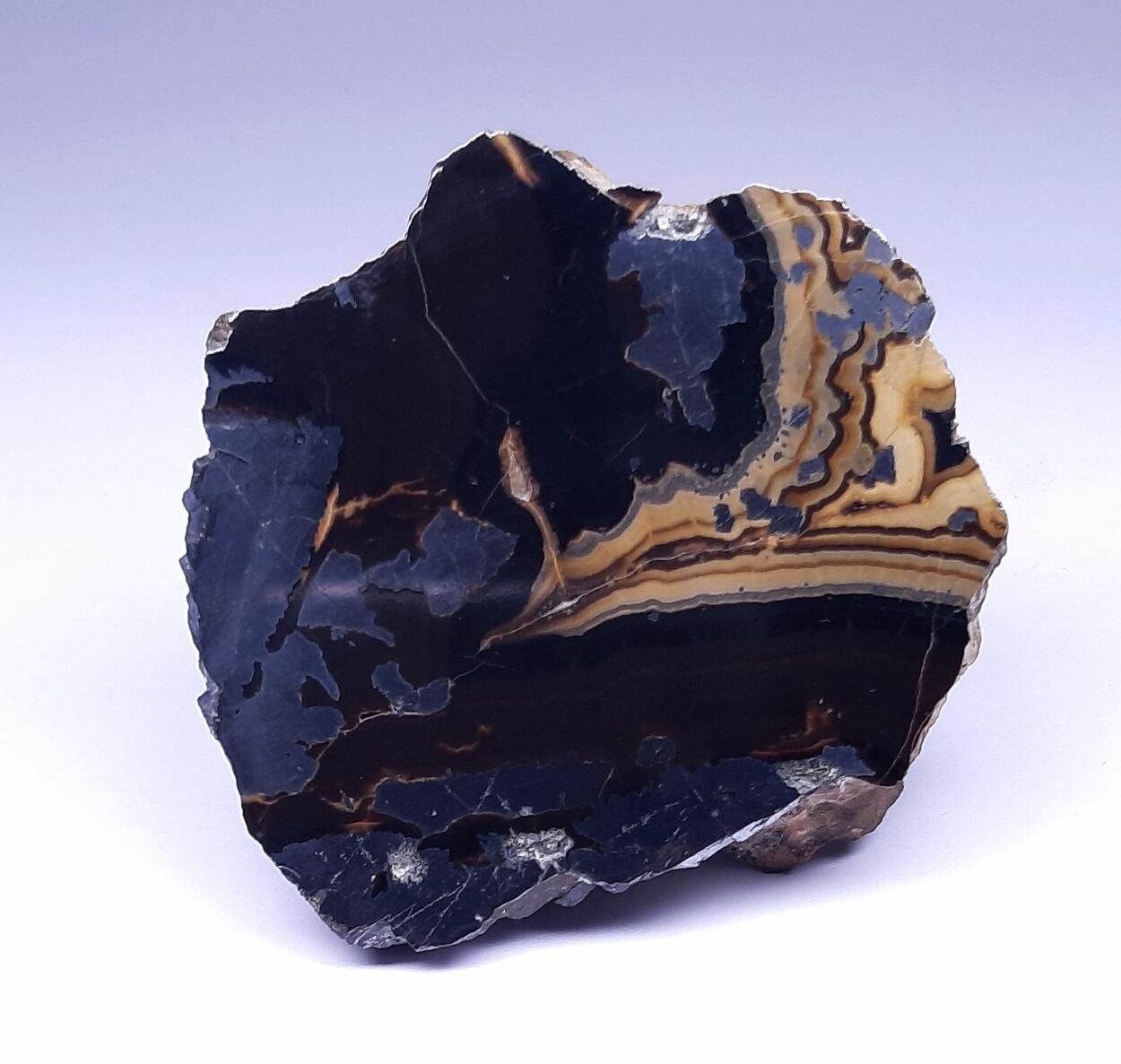 Schalenblende