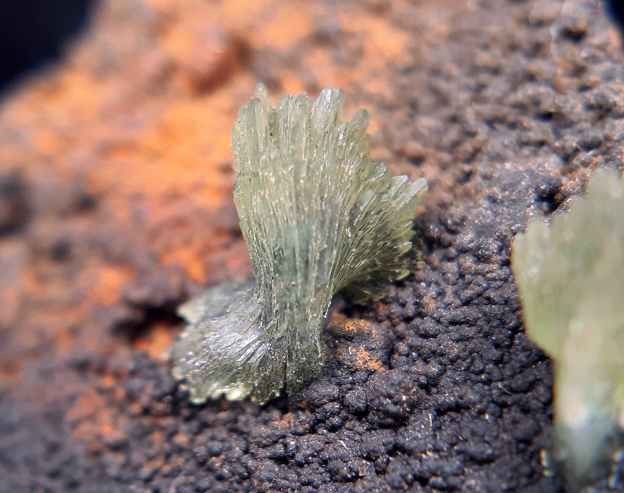 Anapaite