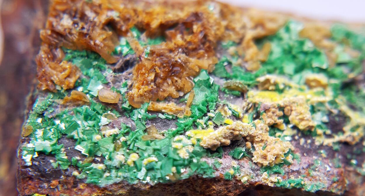 Billietite Torbernite & Uranophane