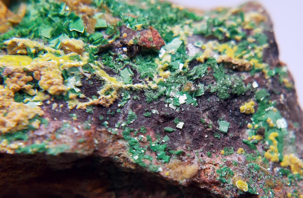 Billietite Torbernite & Uranophane