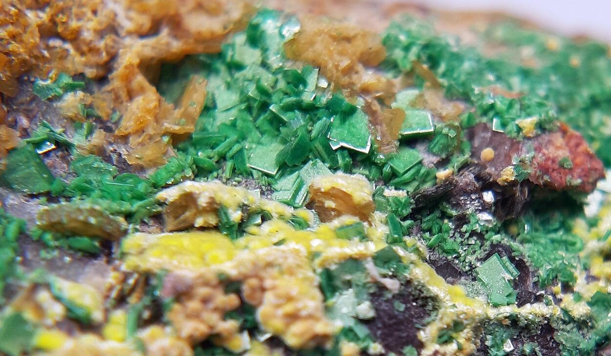 Billietite Torbernite & Uranophane