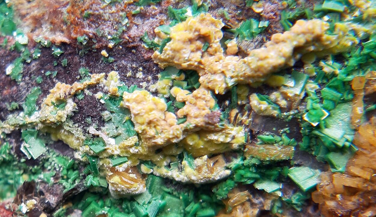 Billietite Torbernite & Uranophane