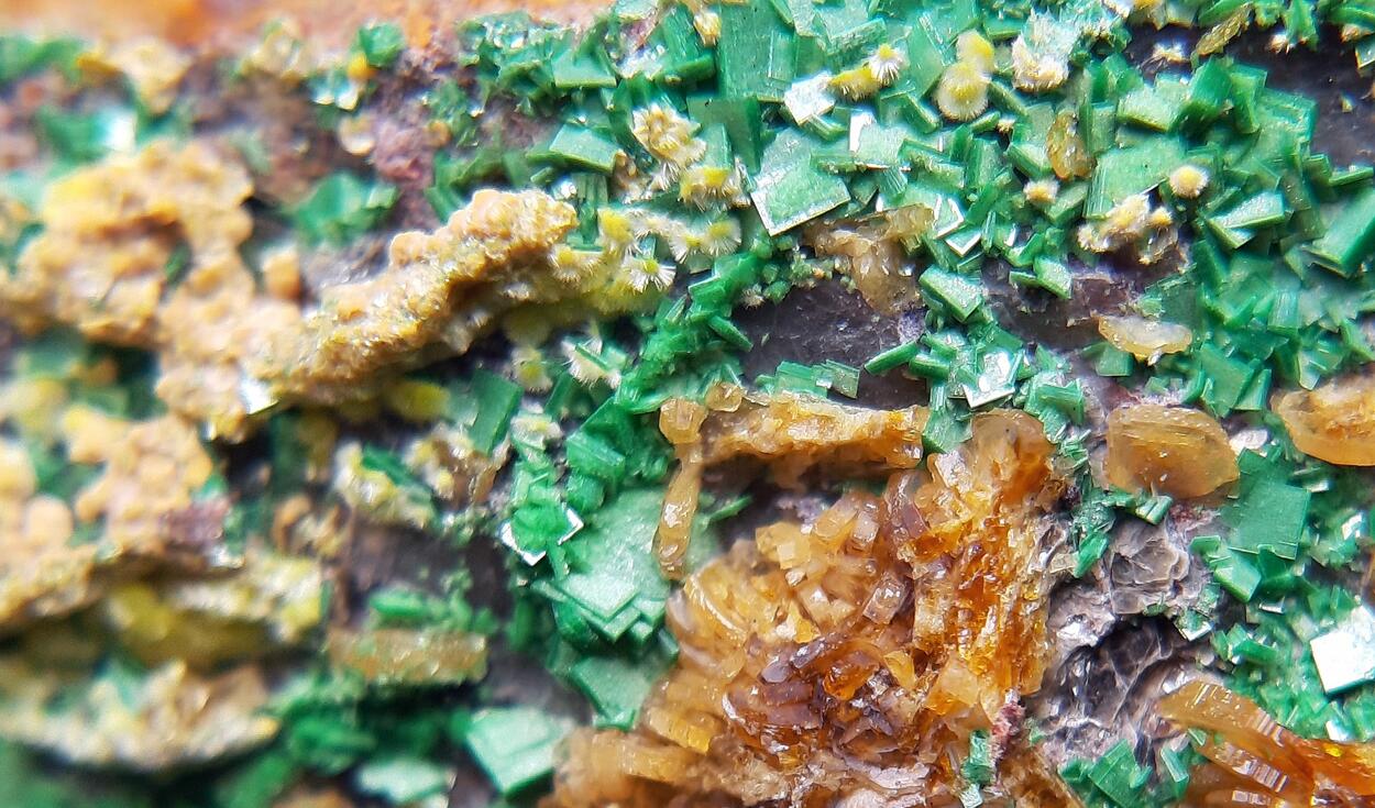 Billietite Torbernite & Uranophane