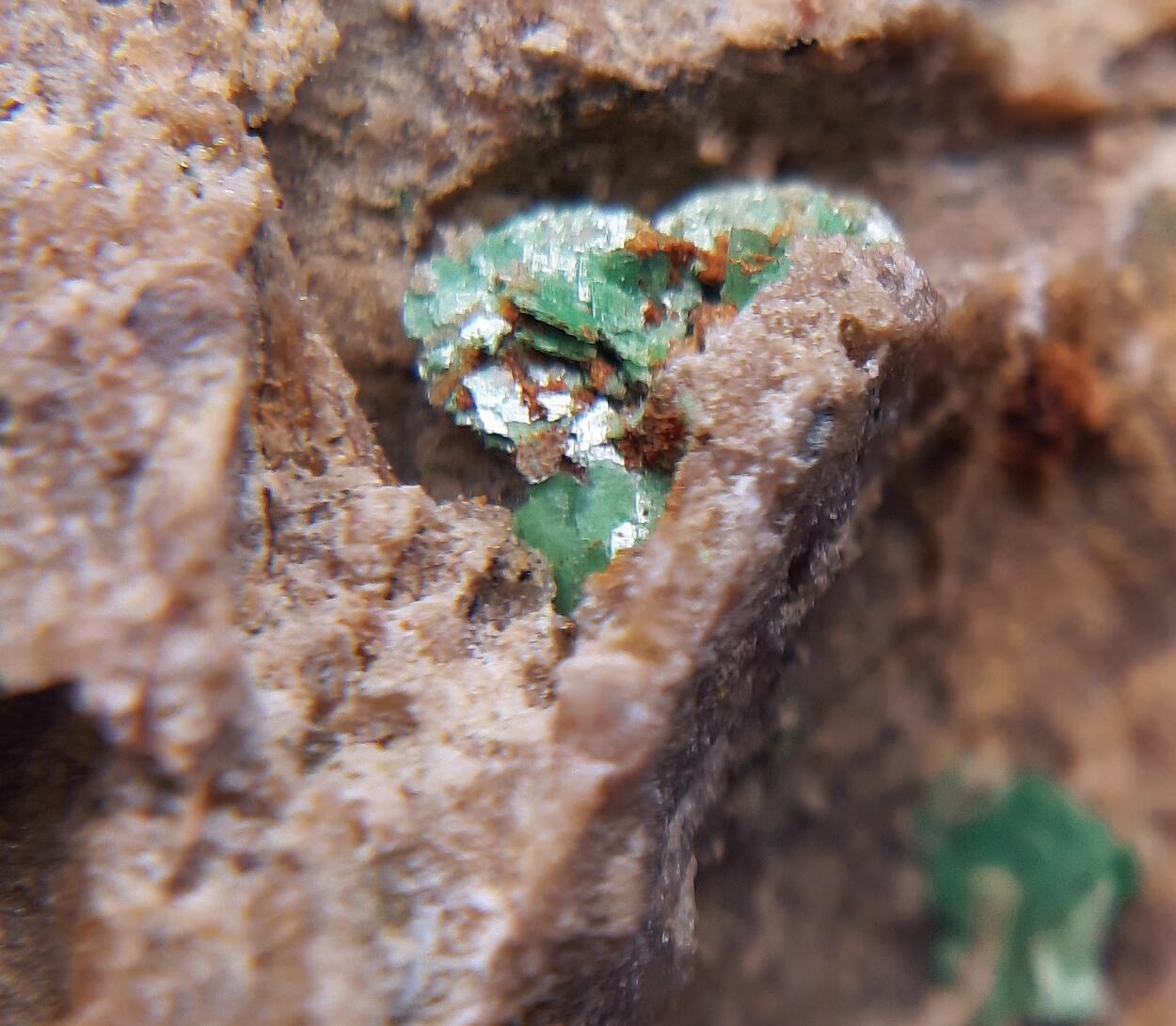 Zeunerite & Arsenosiderite