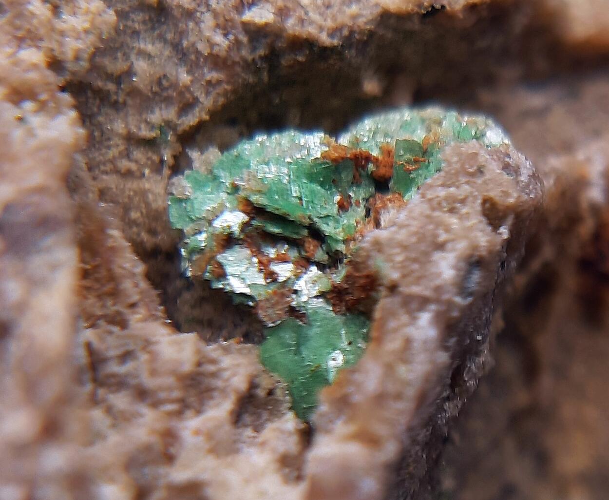 Zeunerite & Arsenosiderite