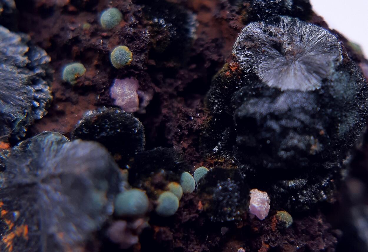 Strengite Braunite & Rockbridgeite