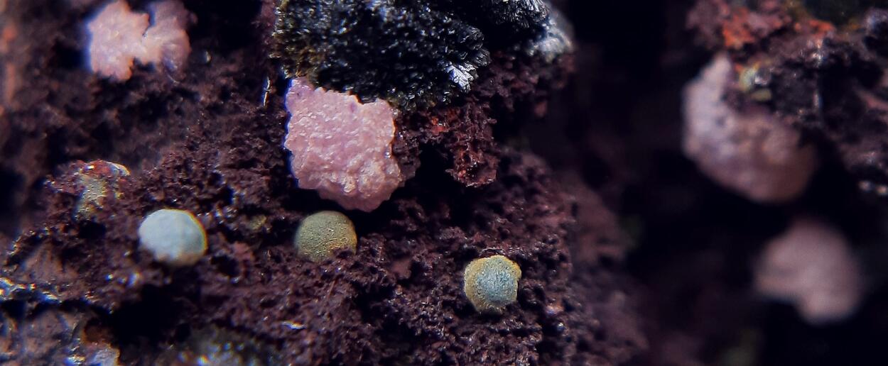 Strengite Braunite & Rockbridgeite