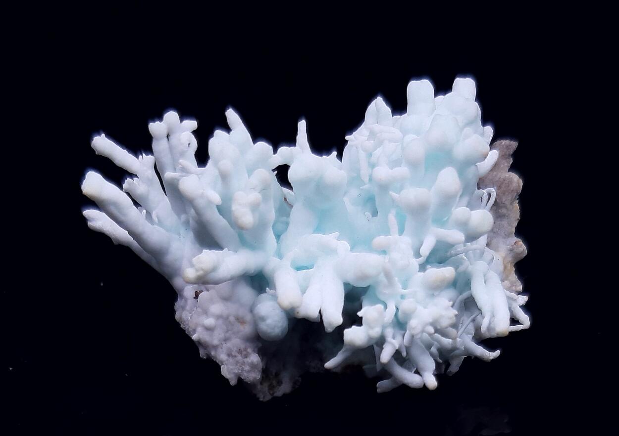 Flos Ferri & Calcite & Aragonite