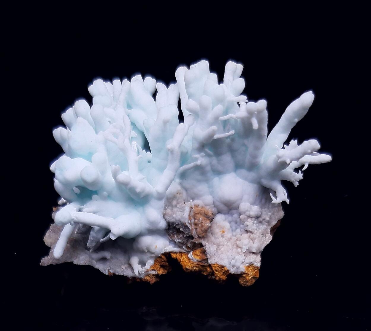 Flos Ferri & Calcite & Aragonite