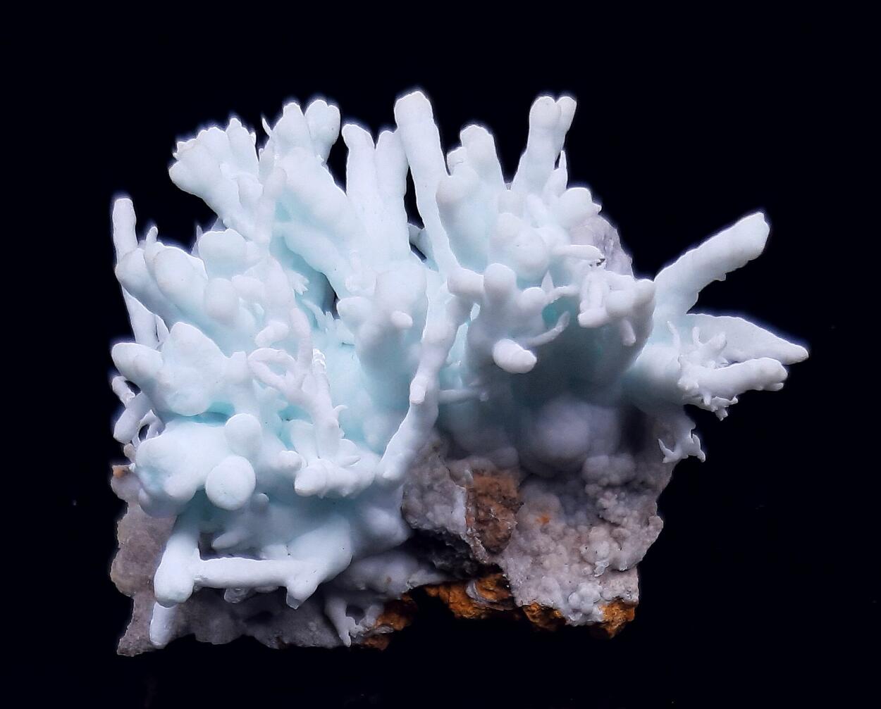 Flos Ferri & Calcite & Aragonite