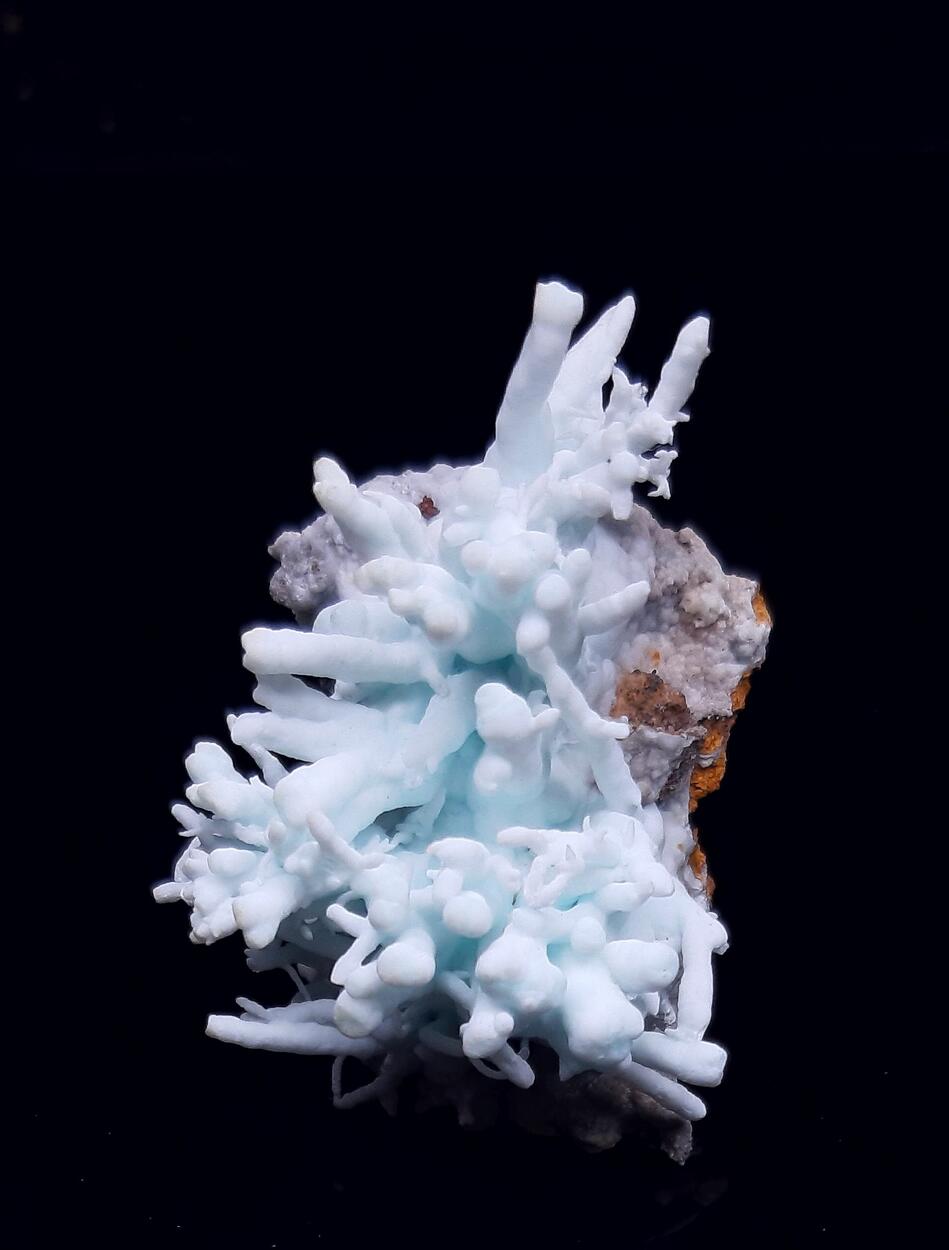 Flos Ferri & Calcite & Aragonite