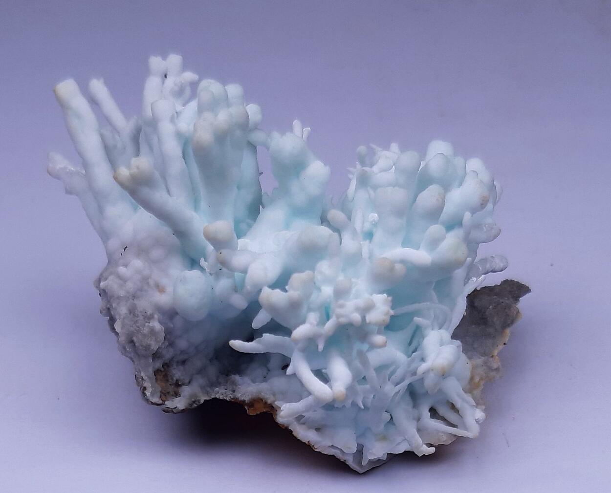 Flos Ferri & Calcite & Aragonite