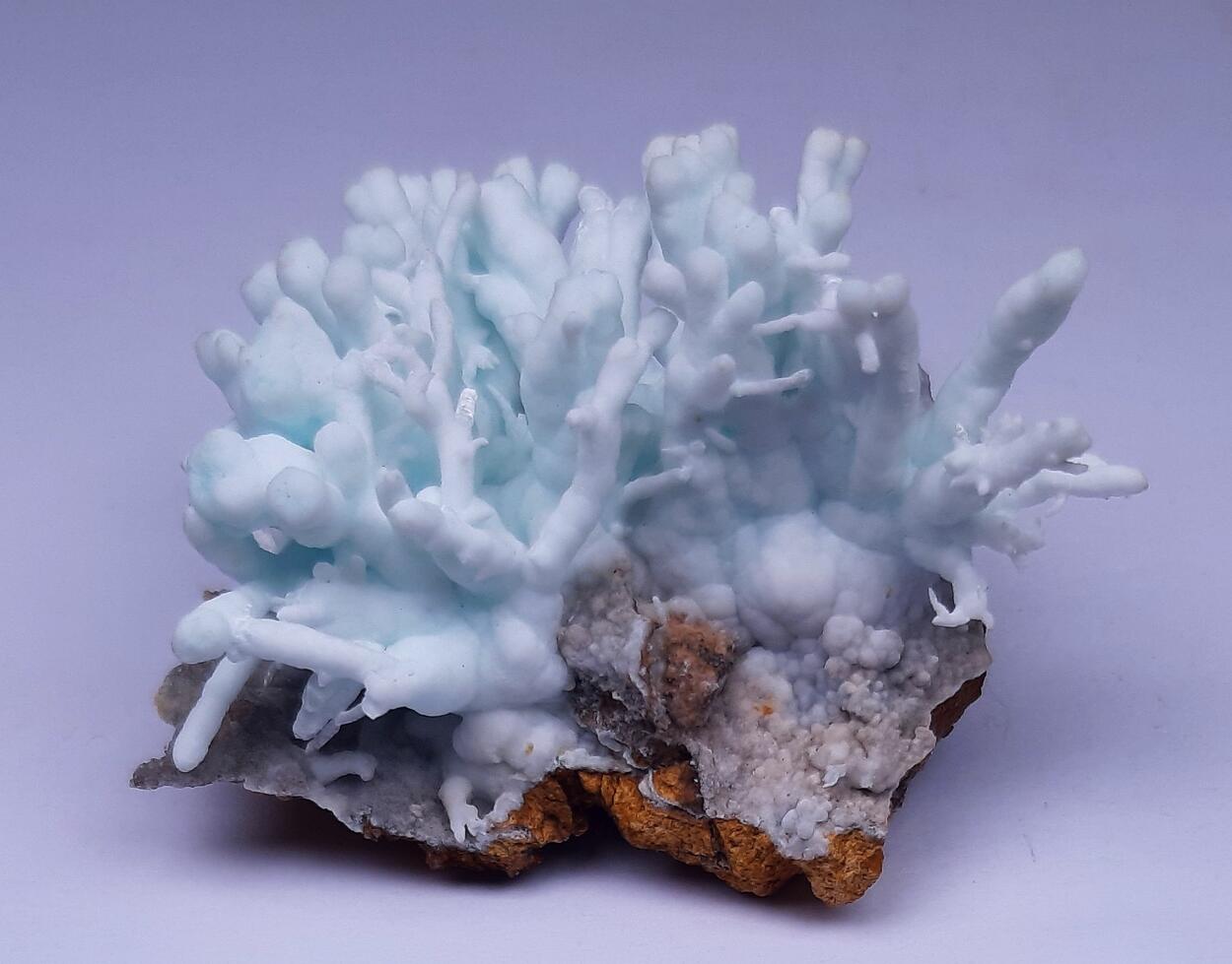 Flos Ferri & Calcite & Aragonite