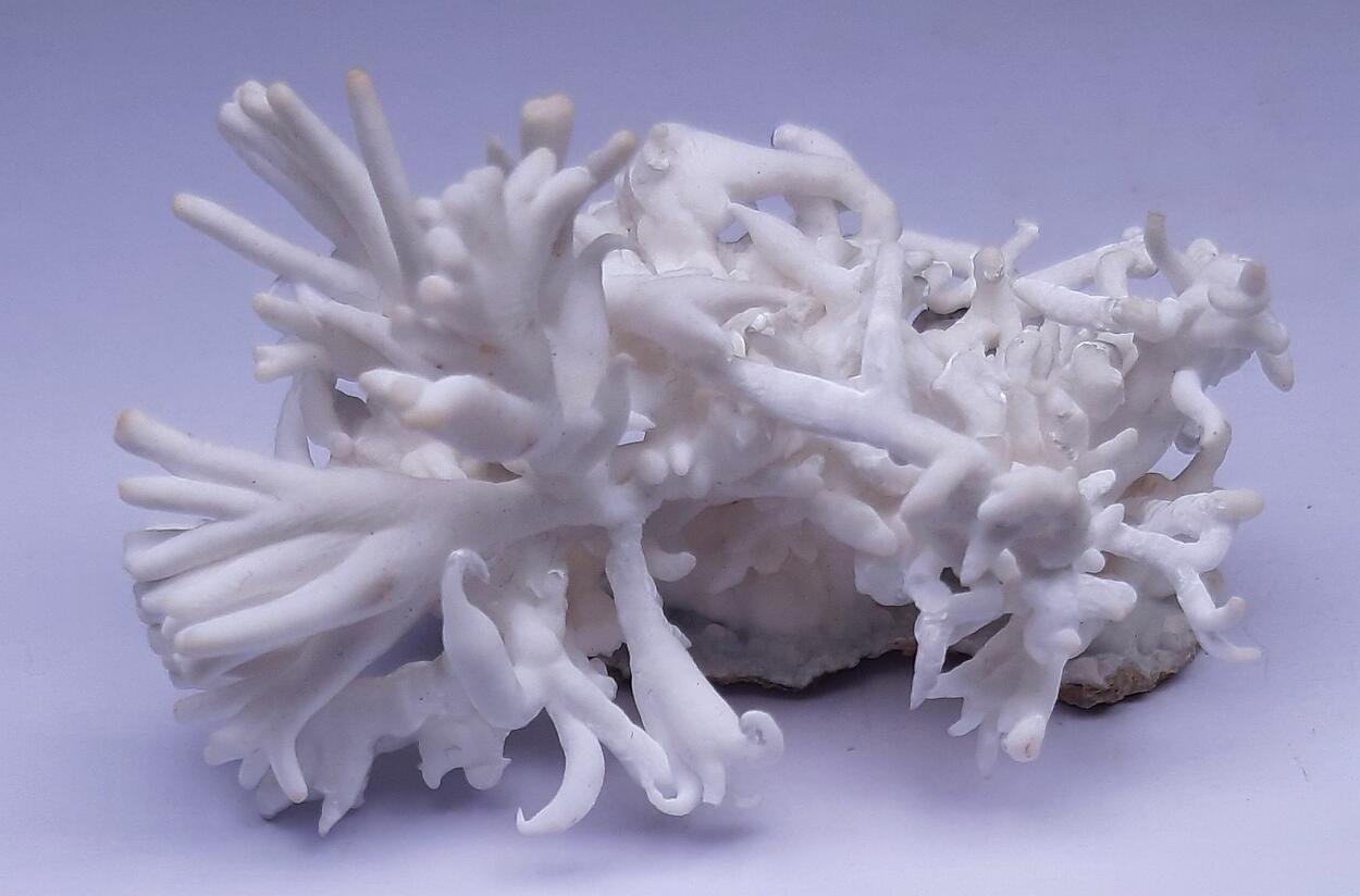 Flos Ferri & Calcite & Aragonite