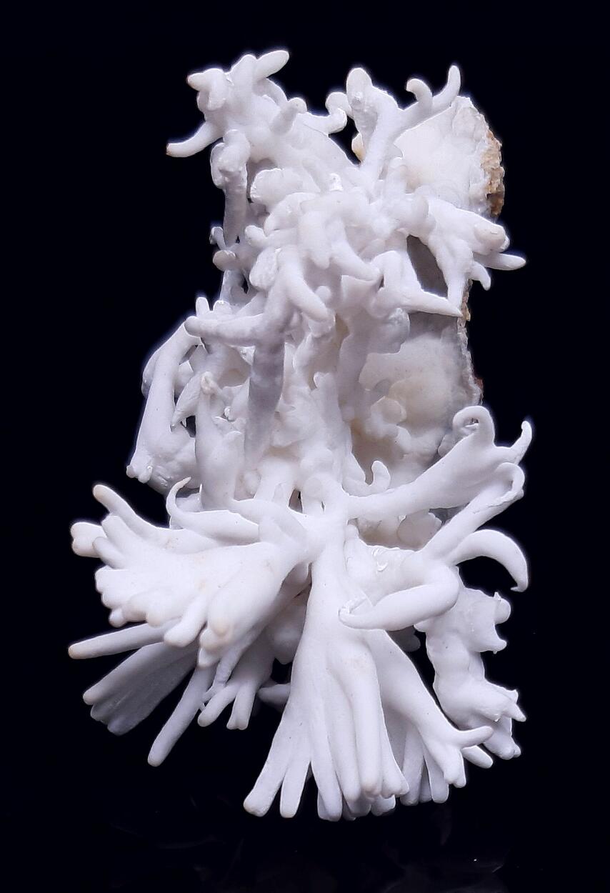 Flos Ferri & Calcite & Aragonite