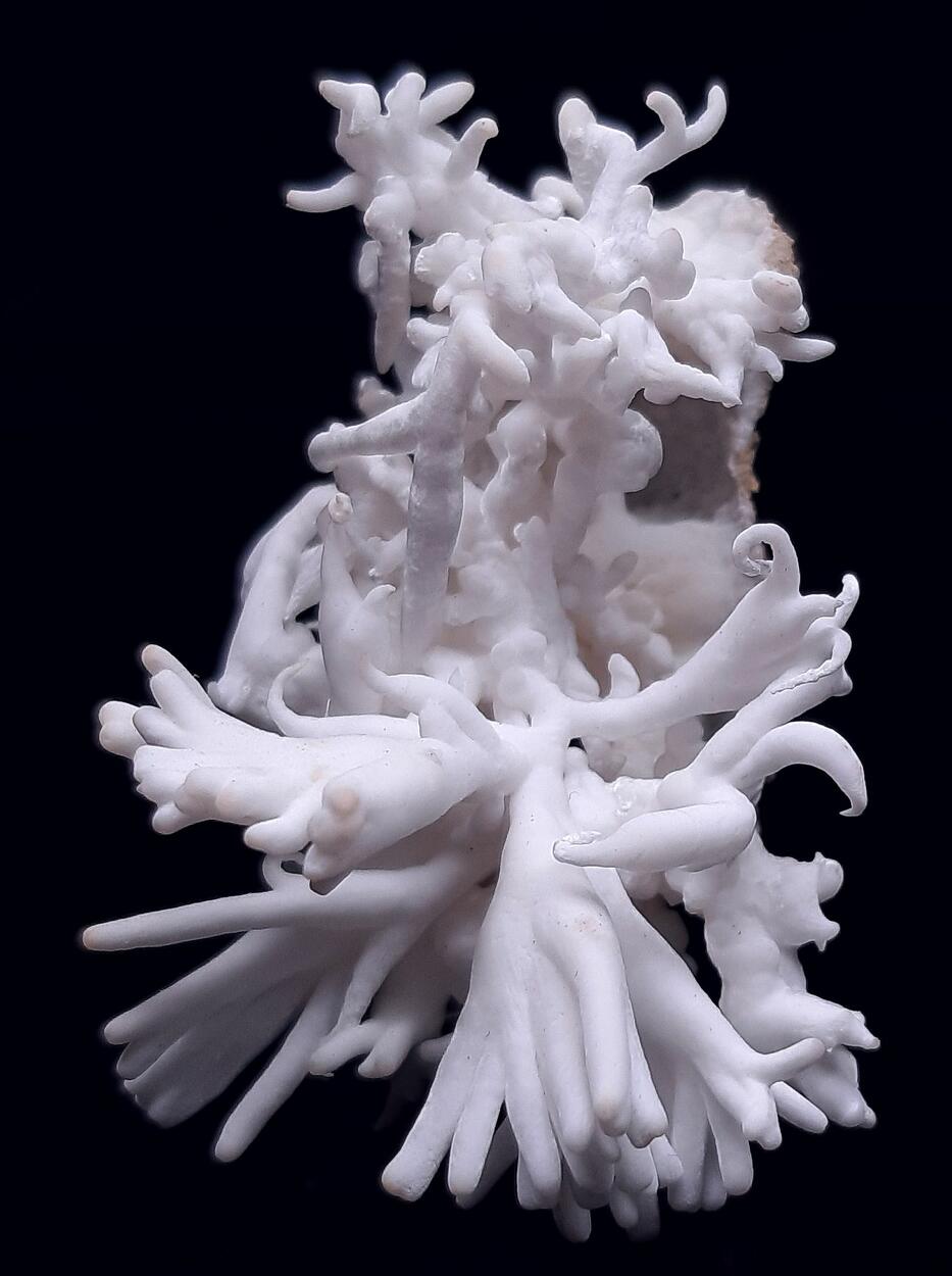 Flos Ferri & Calcite & Aragonite