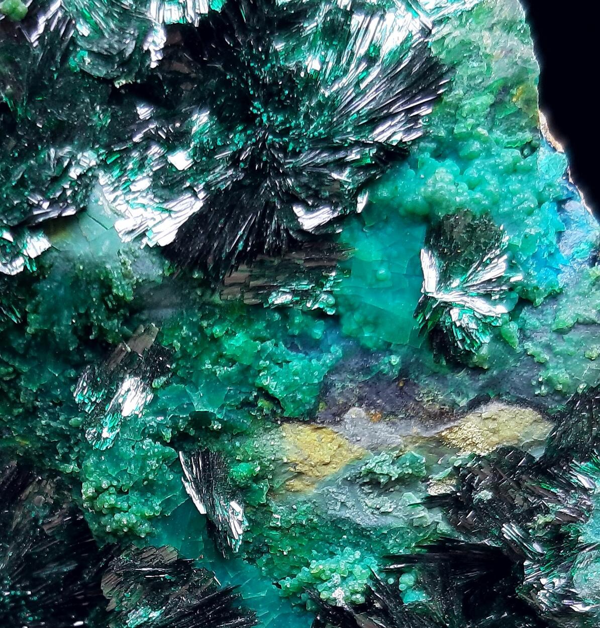 Atacamite & Halloysite & Chrysocolla