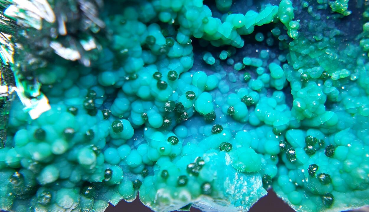 Atacamite & Halloysite & Chrysocolla