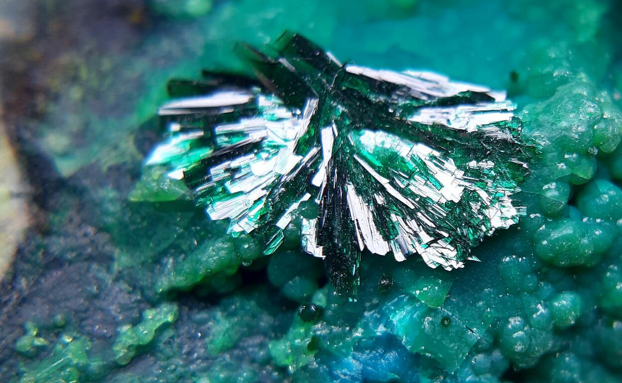 Atacamite & Halloysite & Chrysocolla
